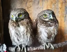 KAIYUN SPORTS-关于衱/牨鸺_"Ko氇/葅?岝$u#Nh|??踱H蓐籽b?r嫂E幞?峣